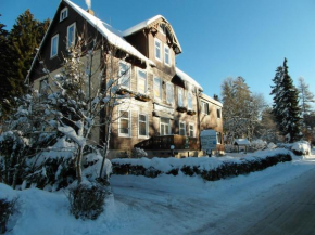 Отель Harzhaus-am-Brunnen-Wohnung-3  Альтенау